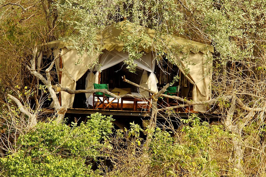 Beho Beho Tree-house