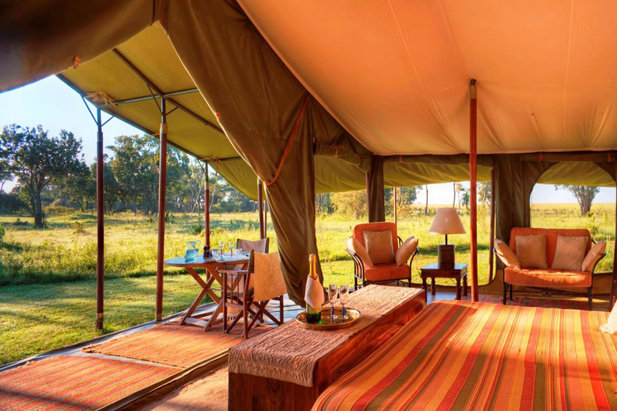 Elephant Pepper Camp