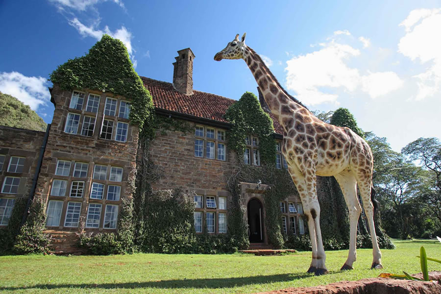 Giraffe Manor 