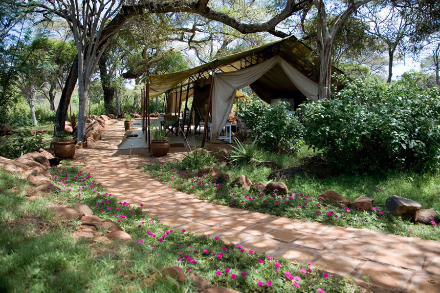 Offbeat Meru Lodge